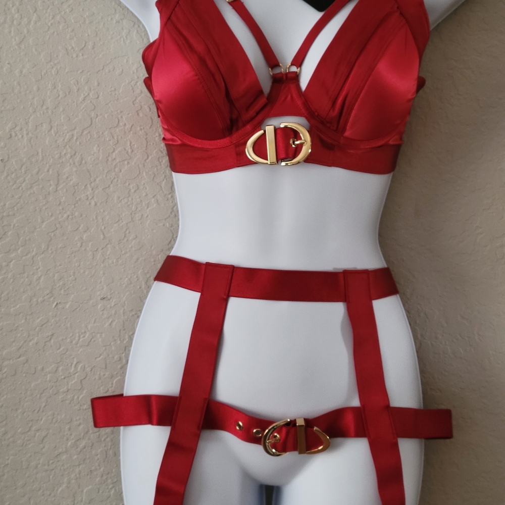 Honey Birdette Red Bra with Gold Accents - Picture 8 of 10